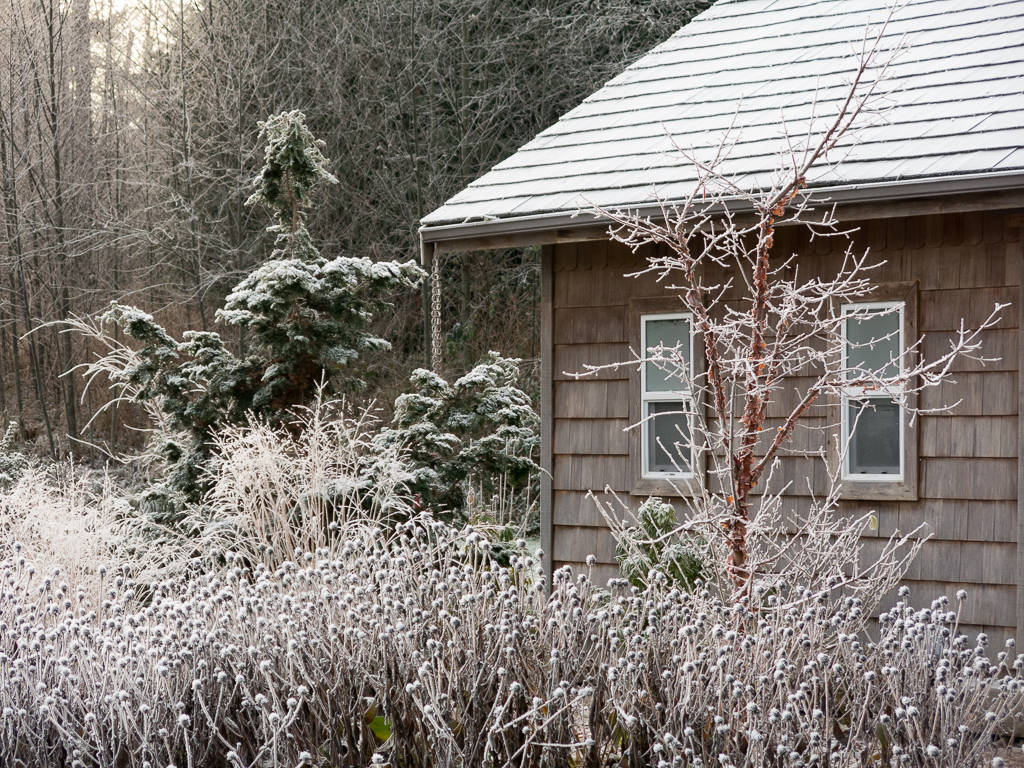 Инструкция: Проверяем документы и участок перед покупкой дома