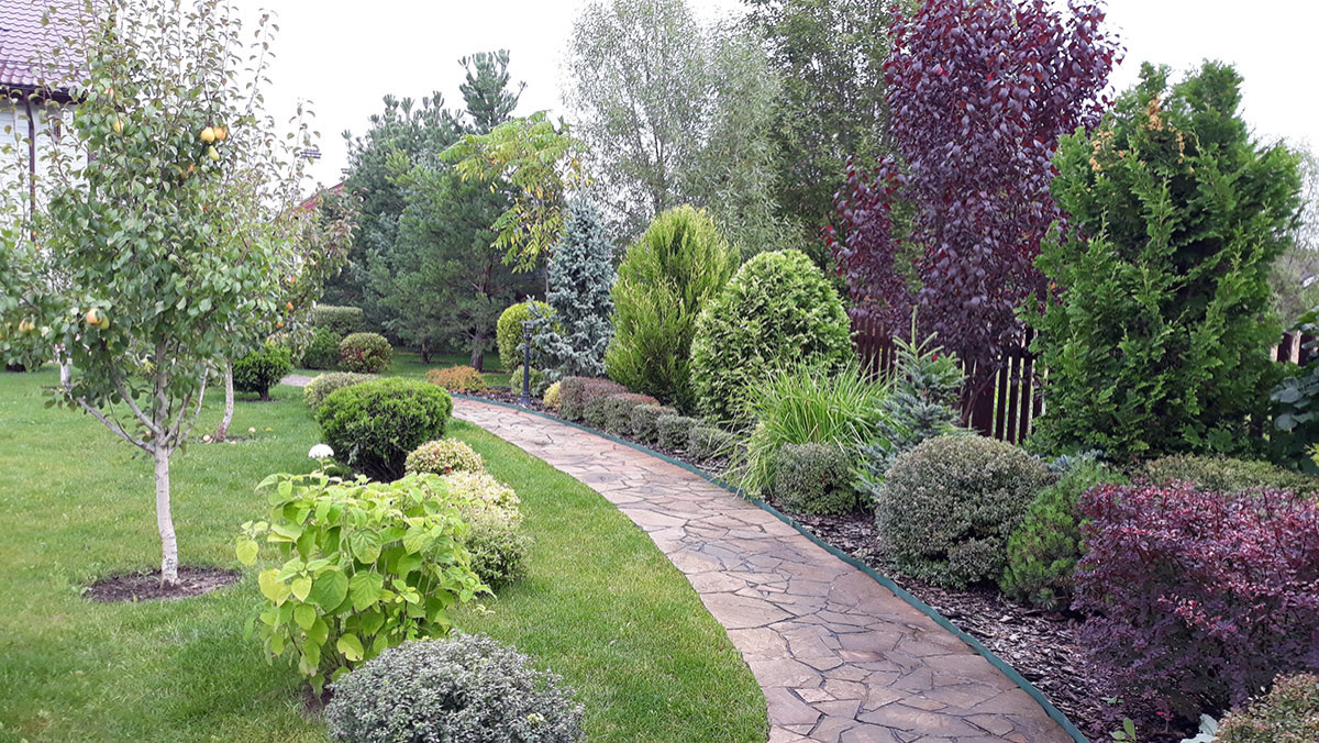 Витро Кантри 2