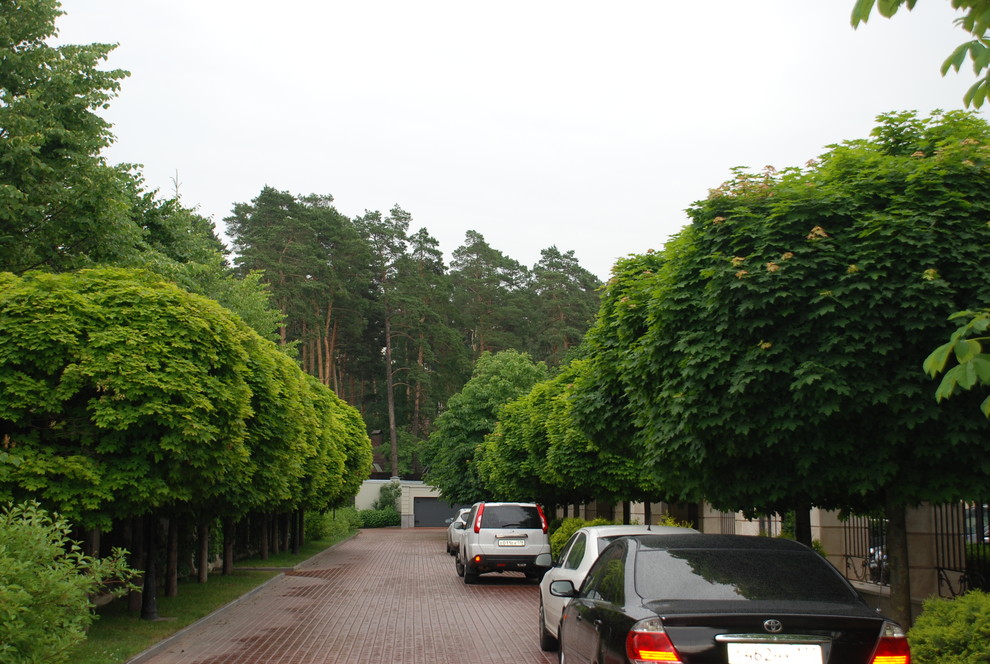 Небольшой сад на Рублевском шоссе