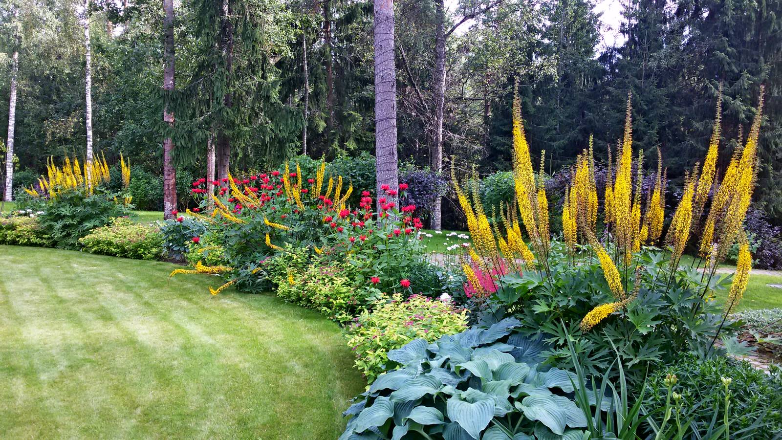 Миксбордер. Сад непрерывного цветения.