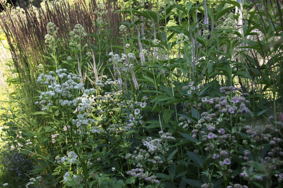 В духе ретро