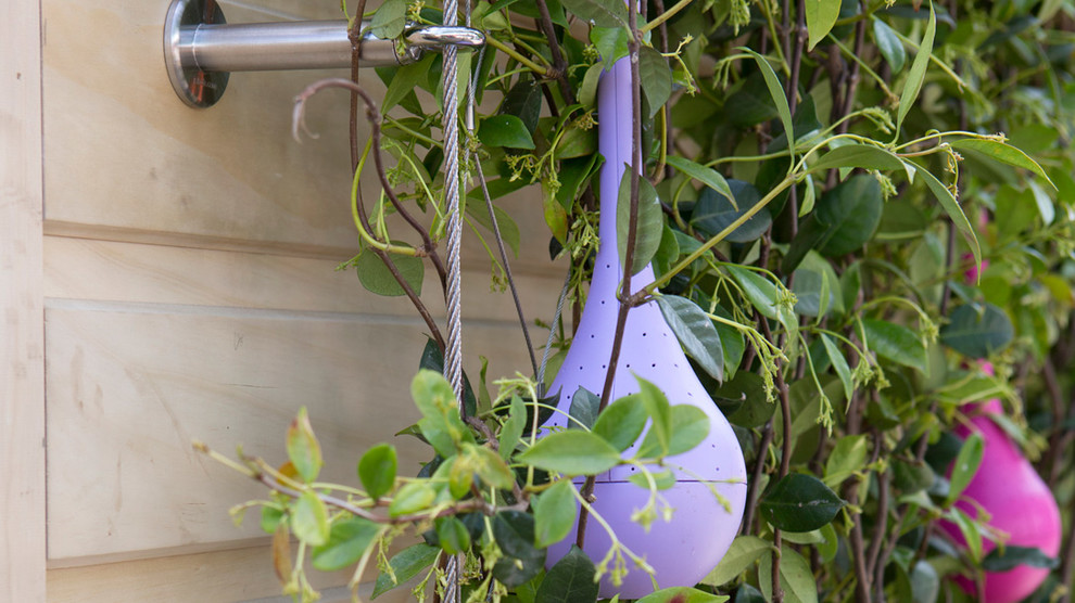 Живой сад: С бабочками, пчелами и жуками — что надо посадить