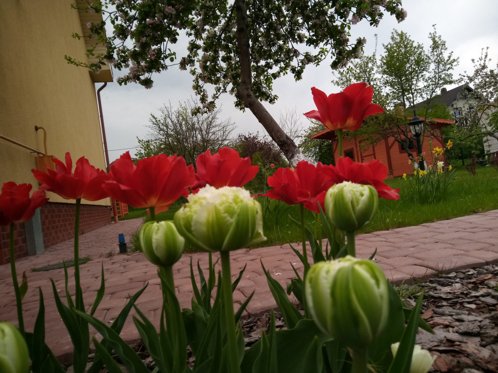 г. Пионерский, Калининградская область