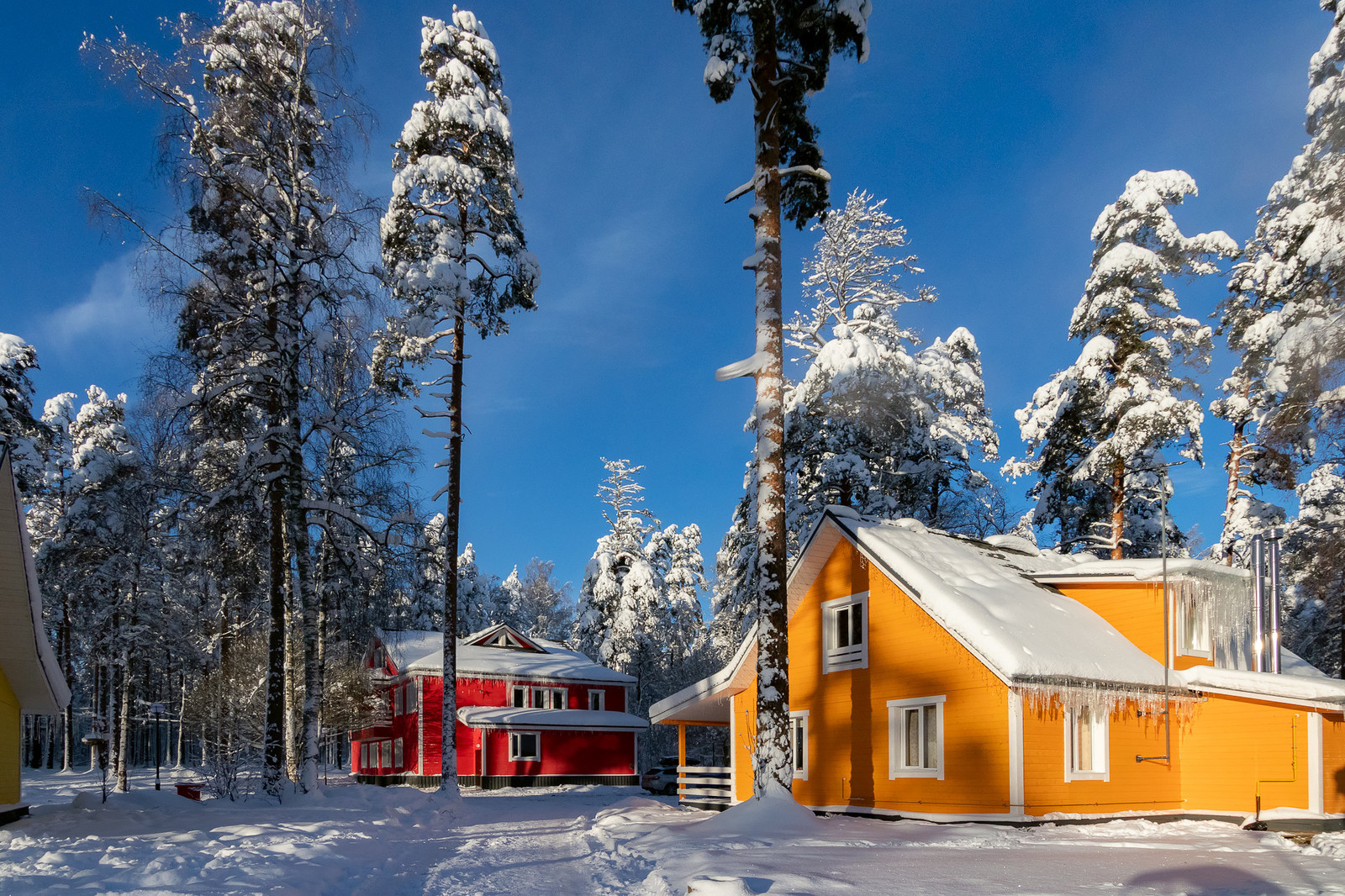 База отдыха "Радуга". Зимняя сказка