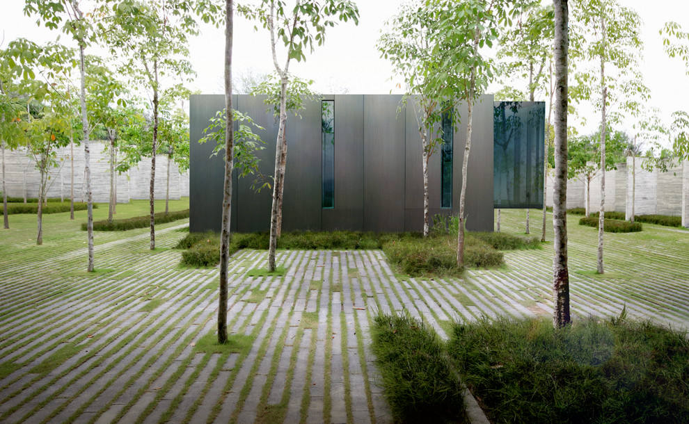 Портреты: «Профессор из мусорного ящика» о своем новом проекте