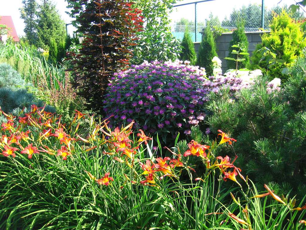 Сад и цветник в английском стиле