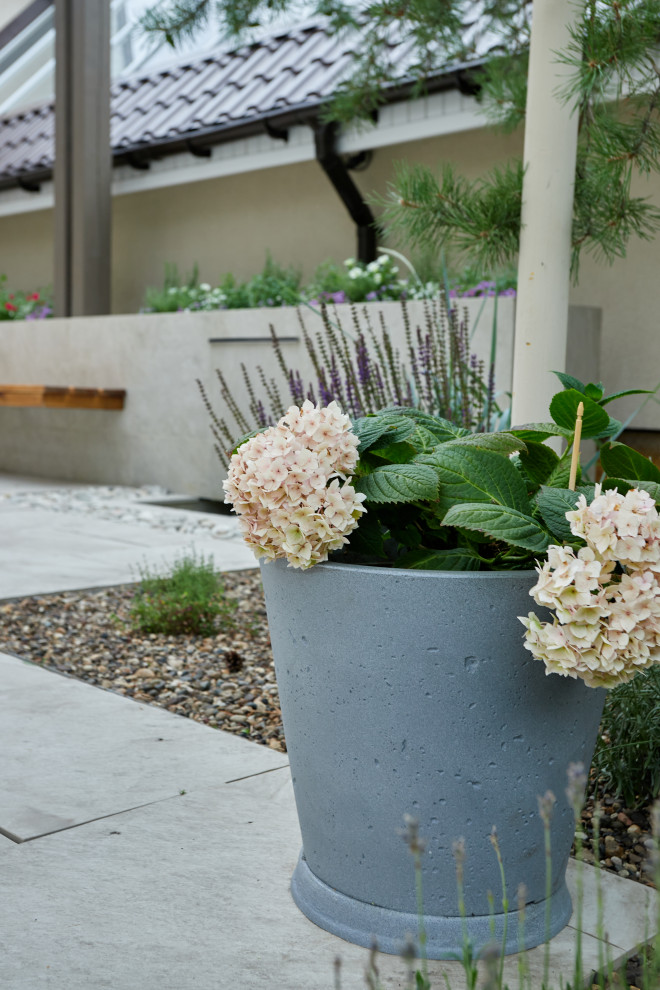 Проект "Современный сад"