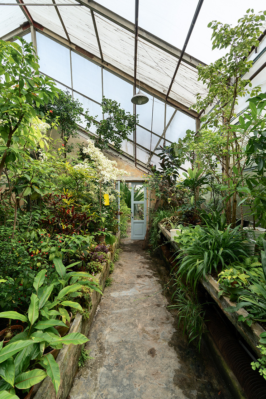 Ботанический сад в сердце Петербурга