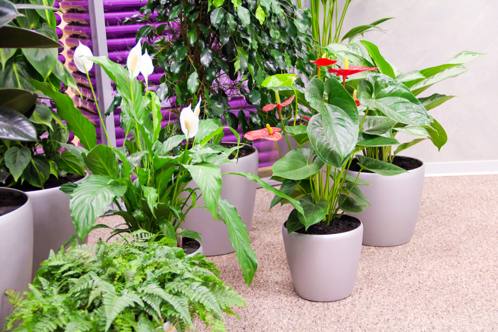 Калуга, Сбербанк, 2010 г.