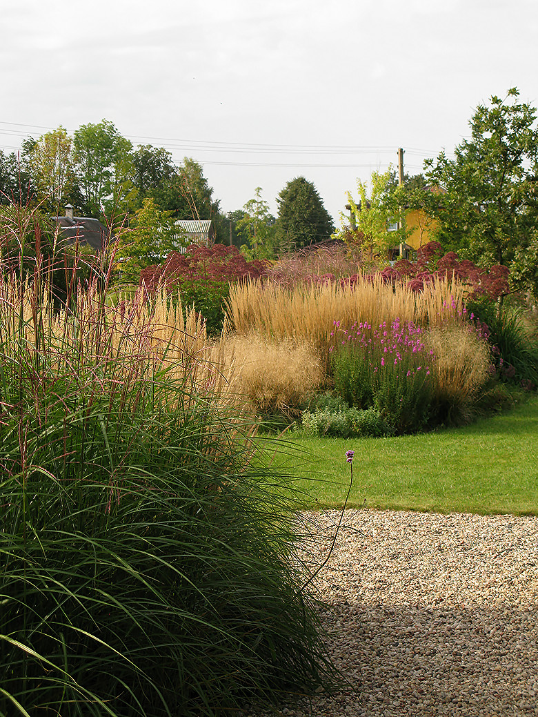 Houzz Белоруссия: Сад в тумане