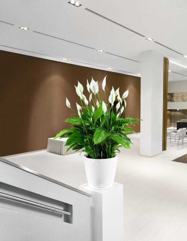 Лучший выбор