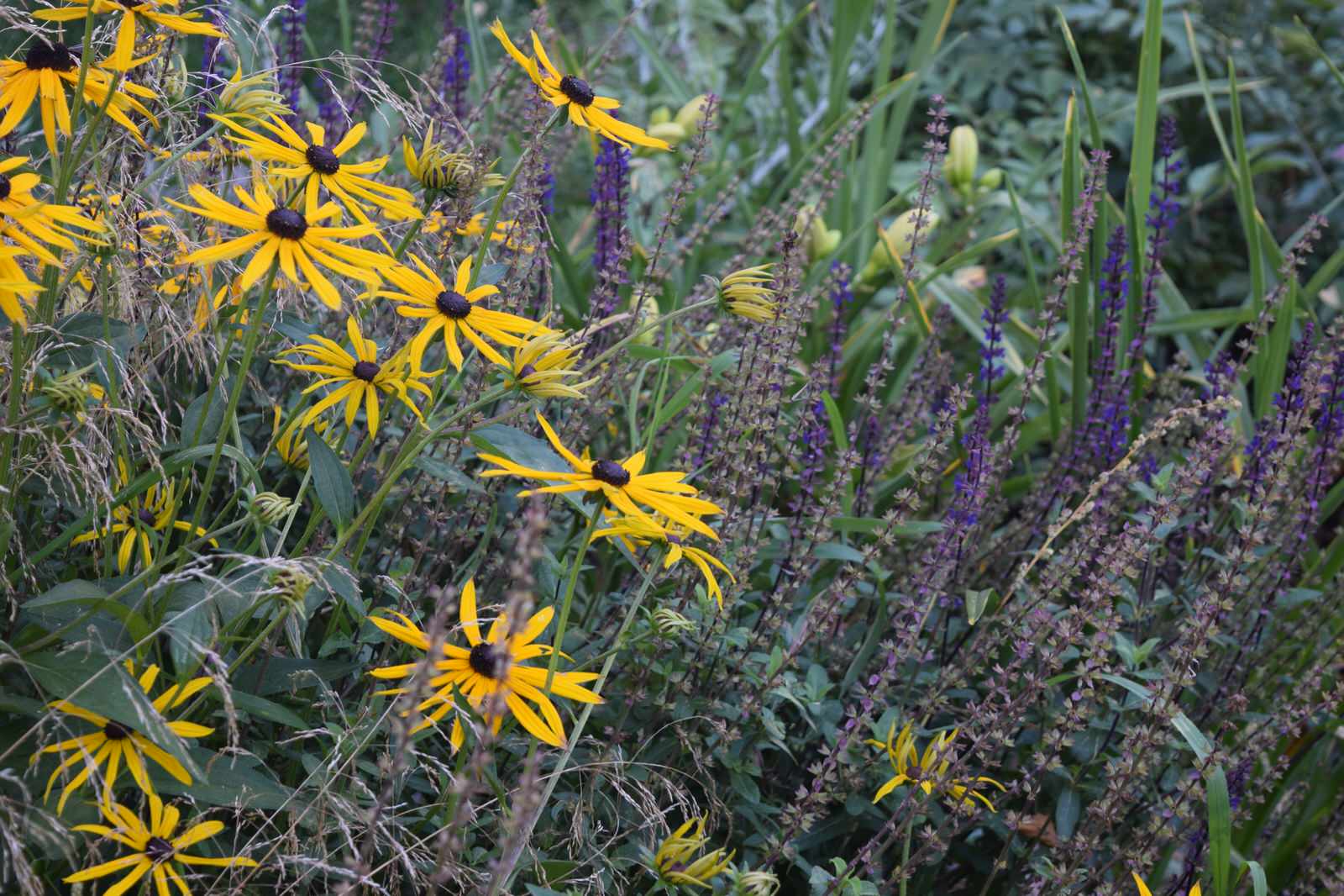 "Лесная сказка"