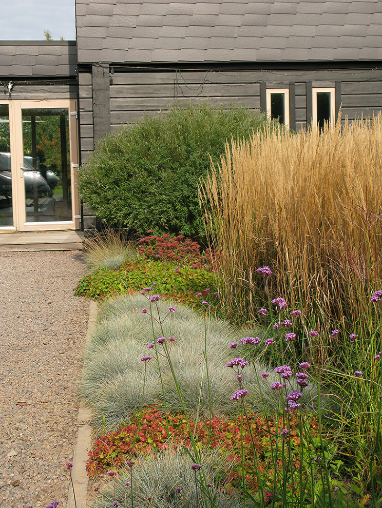 Houzz Белоруссия: Сад в тумане