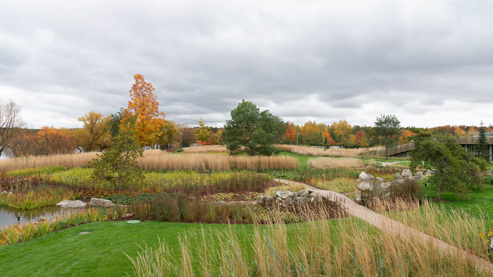 Природный сад. Жуковка XXI век. 2017-2018 гг.