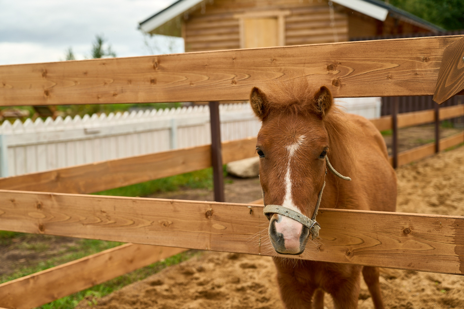 База отдыха на берегу озера. Ялкала.