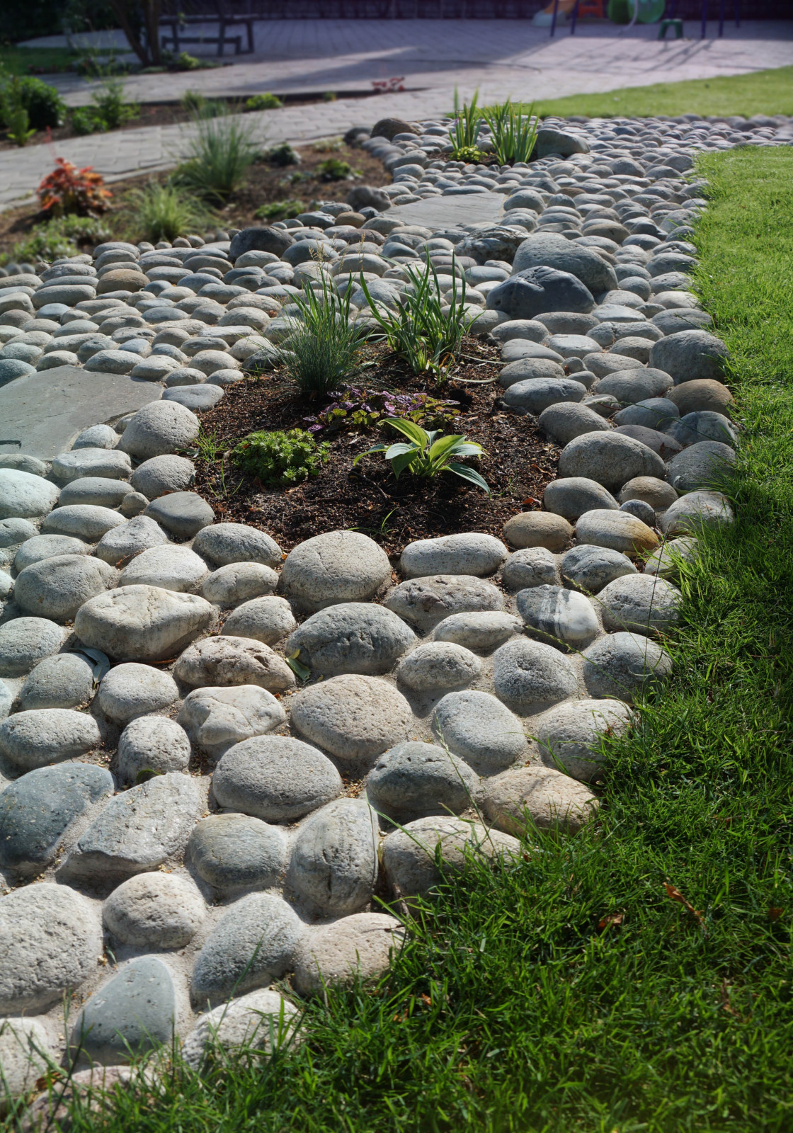 Parusnoe, Voronezhskaja oblast