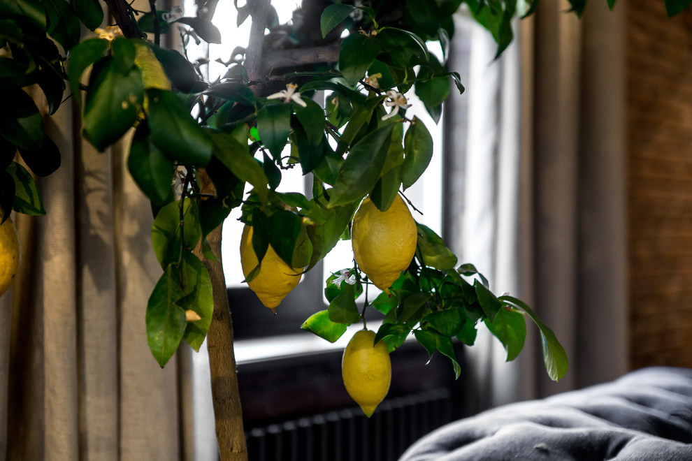 спортивная гостиная