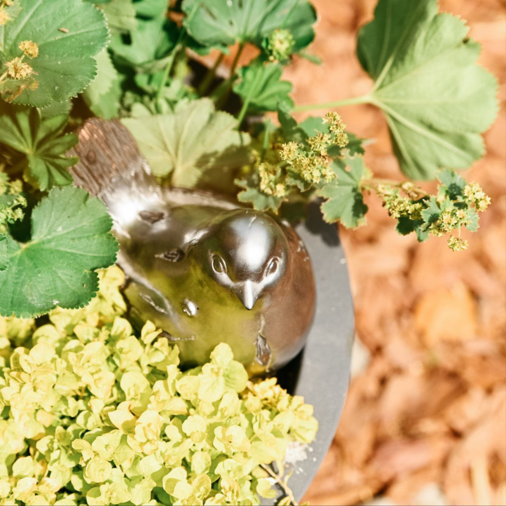 Обложка проекта: Выставочный сад Фестиваль Зелёная Комната в Калининграде "Другой сад"