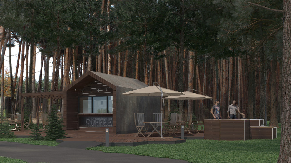 Проект организации нестационарного торгового объекта