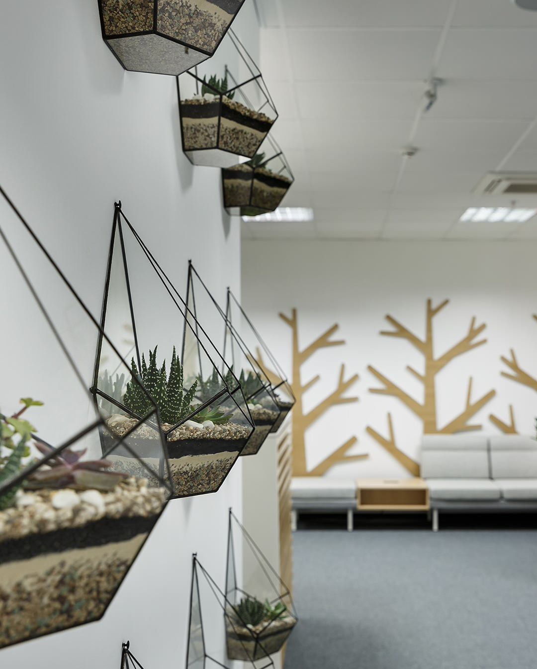 Обложка проекта: Озеленение офиса инженерной компании