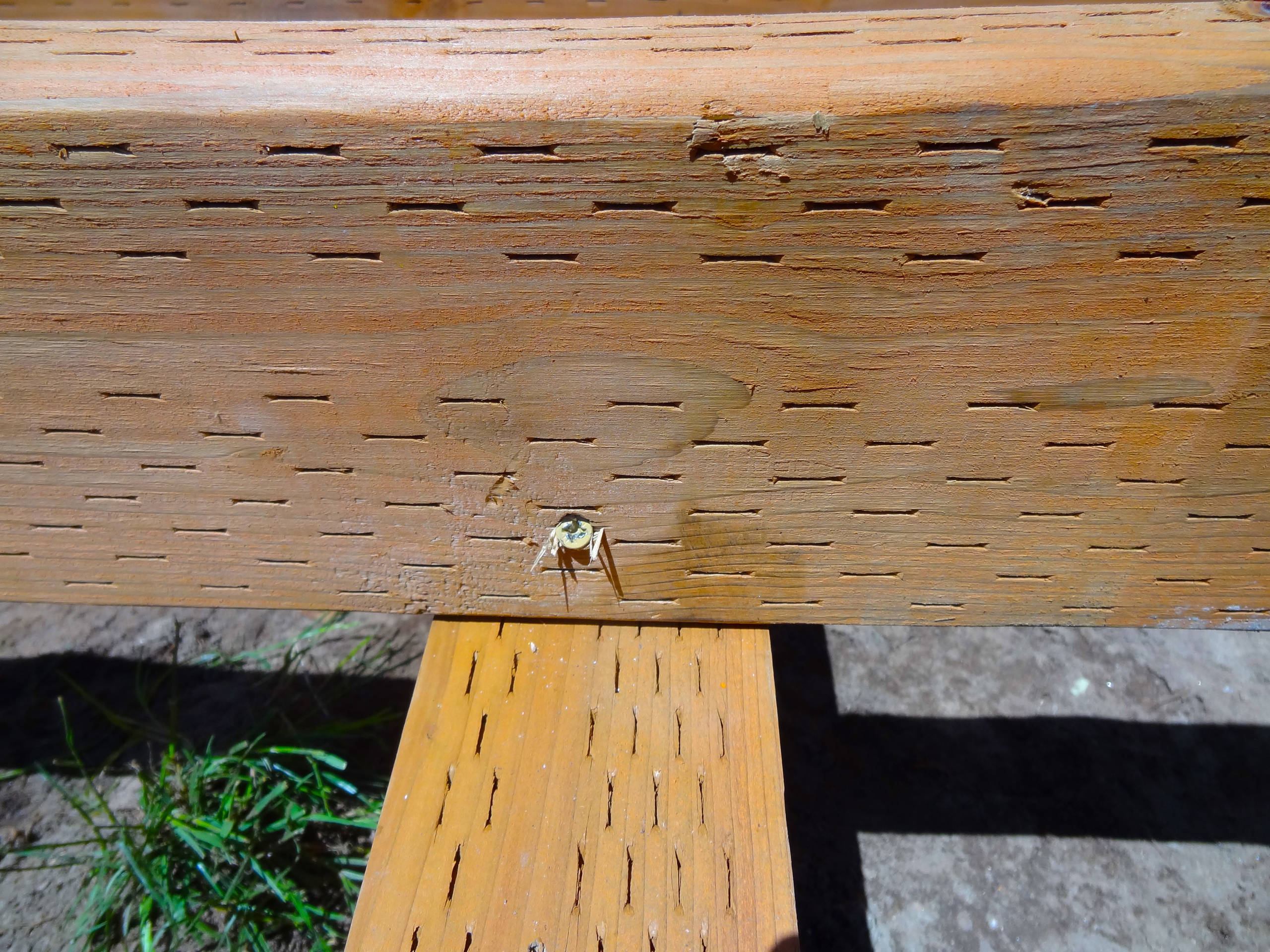 Своими руками: Как сделать пол на террасе за выходные