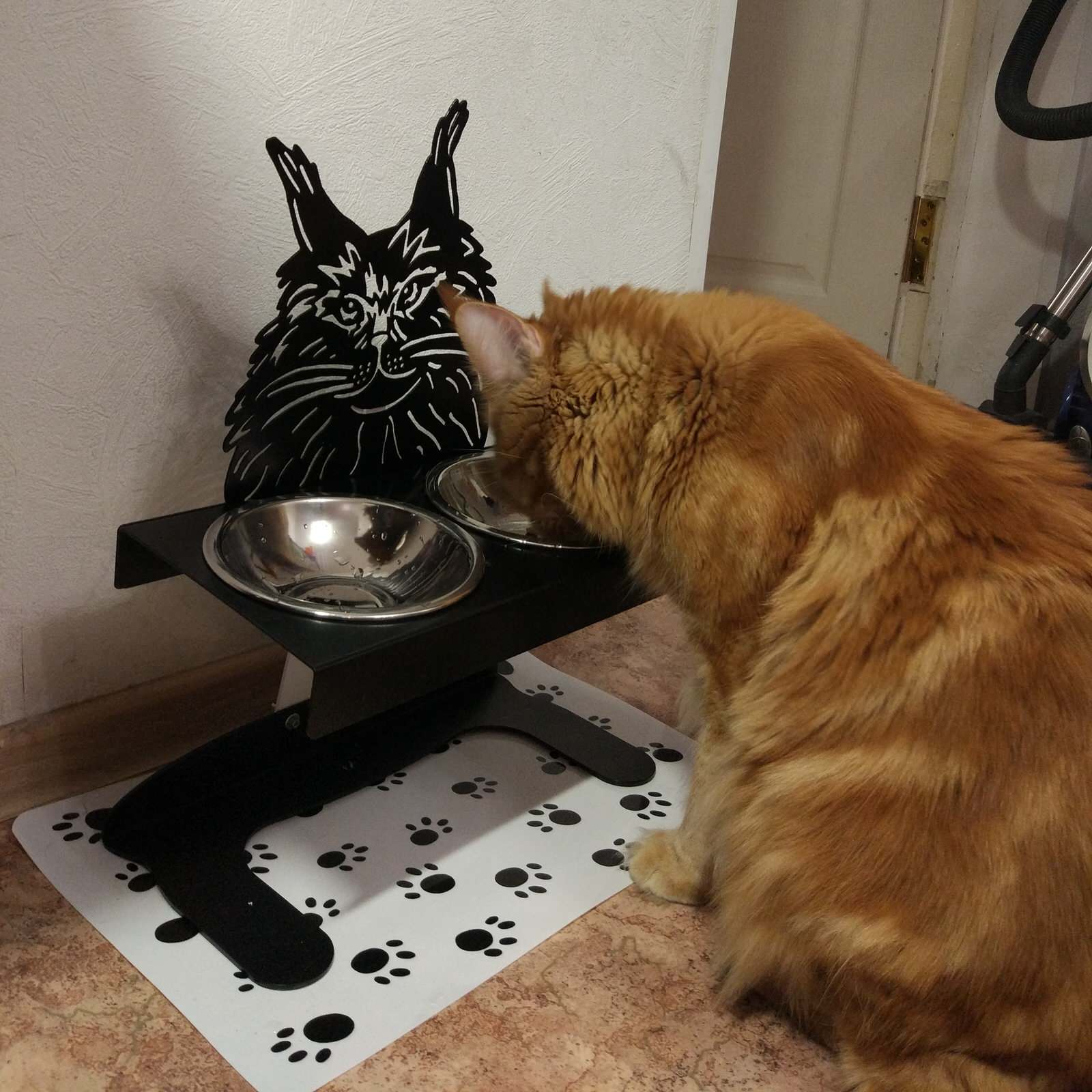 Дизайнерские миски