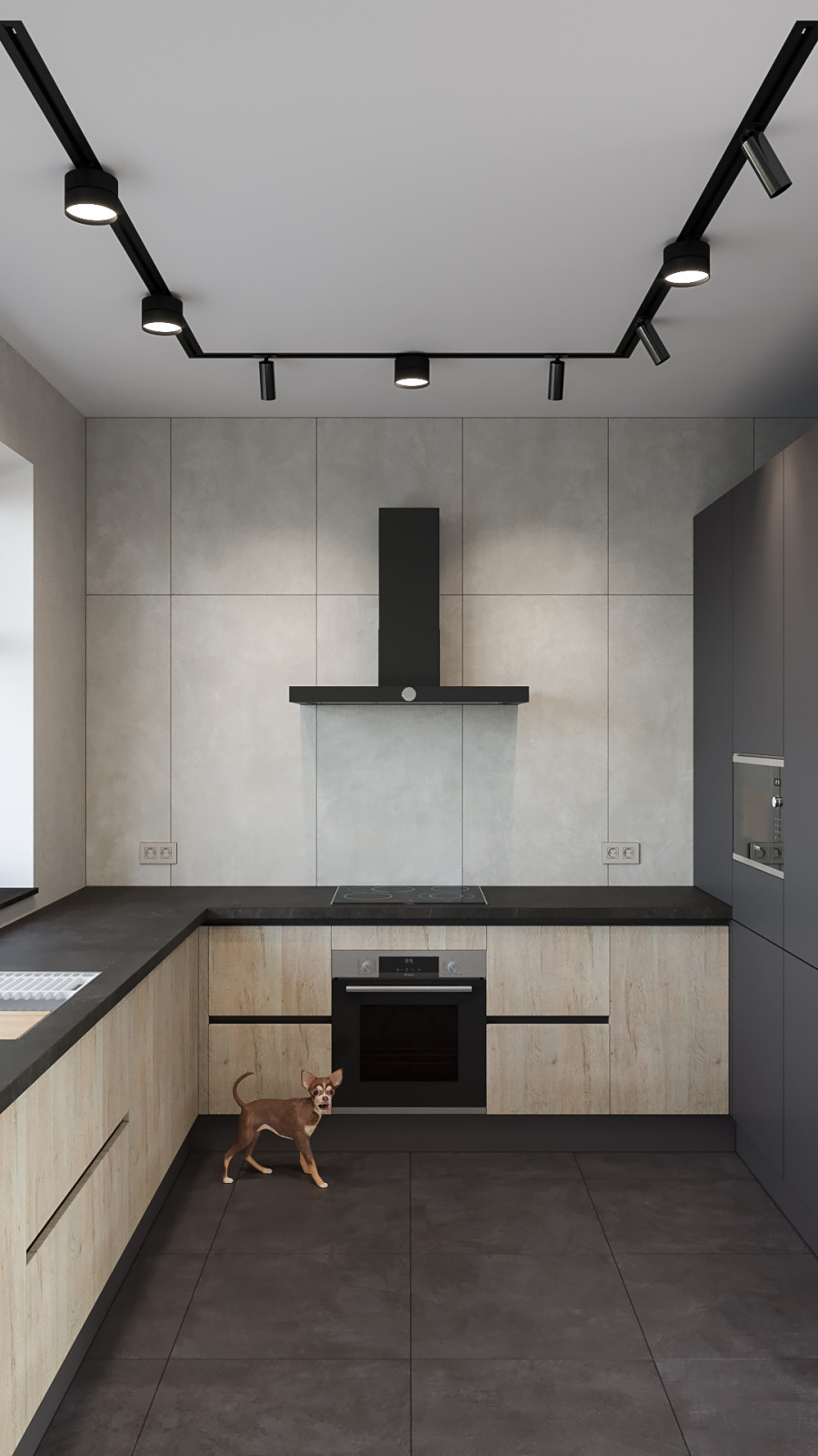 Обложка проекта: Барнхауз с мансардными окнами в серых оттенках