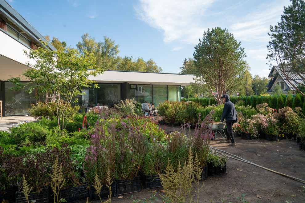 Антоновка. 30 соток. 2023 г.