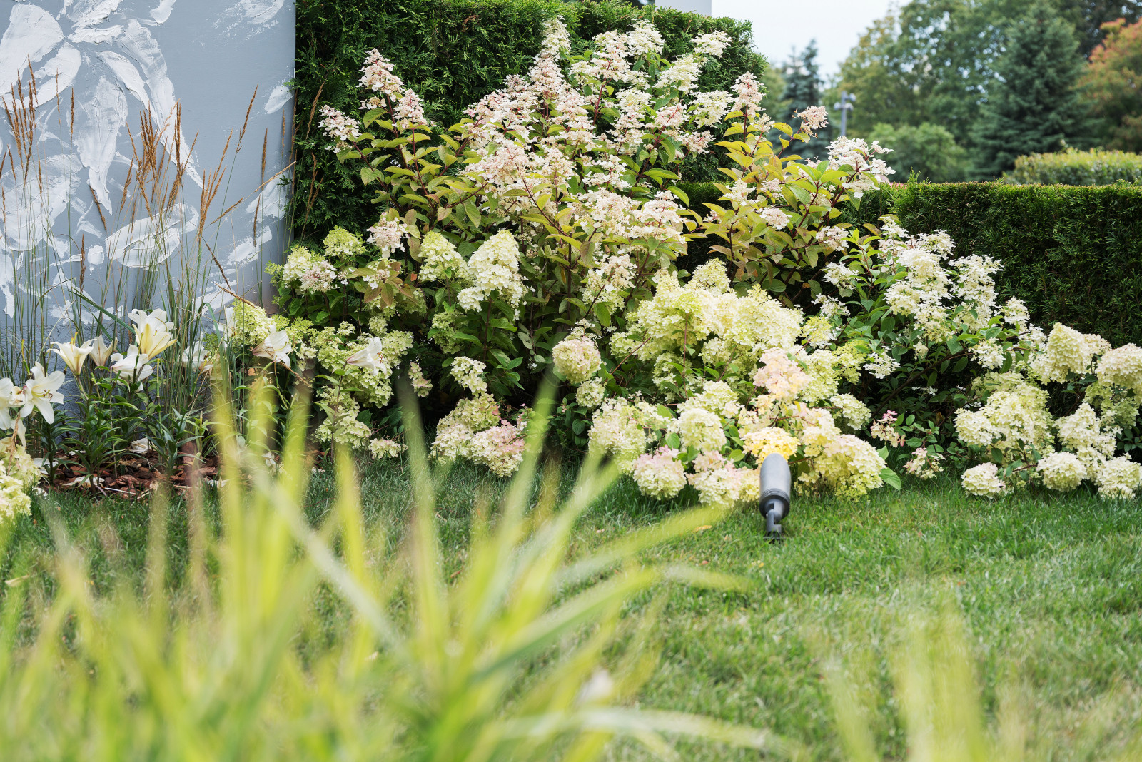 Выставочный сад "Тайны соблазна"