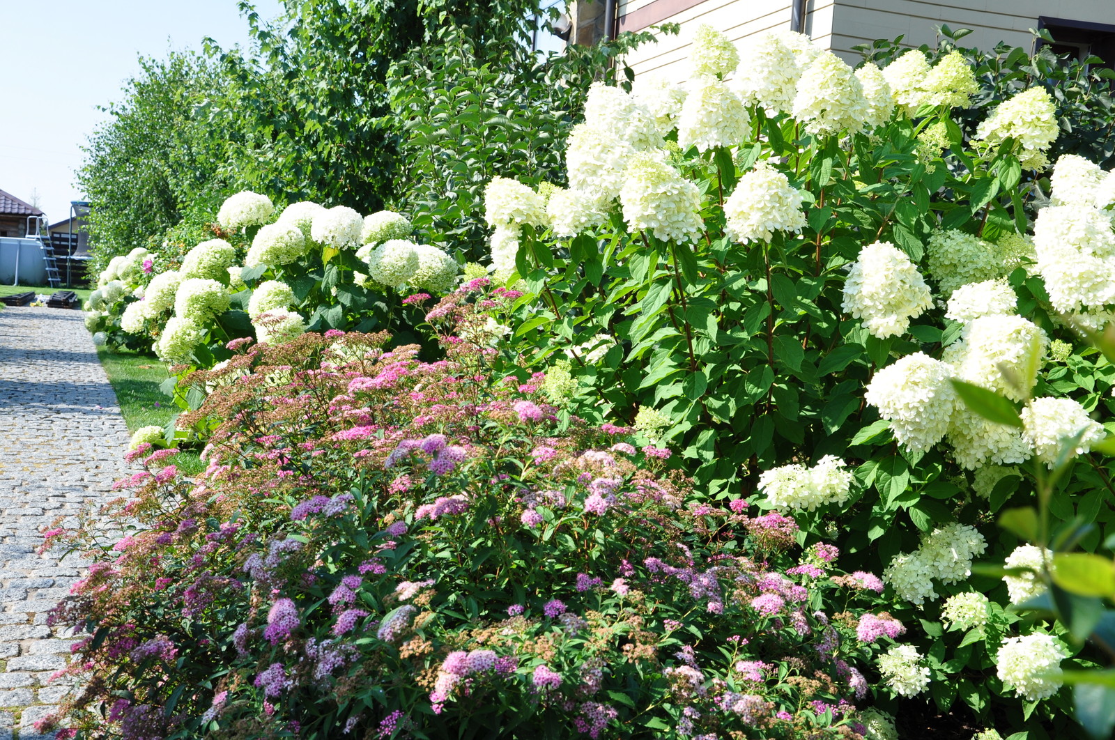 Обложка проекта: кп "Мелоди" - Уход за садом - 100% качество