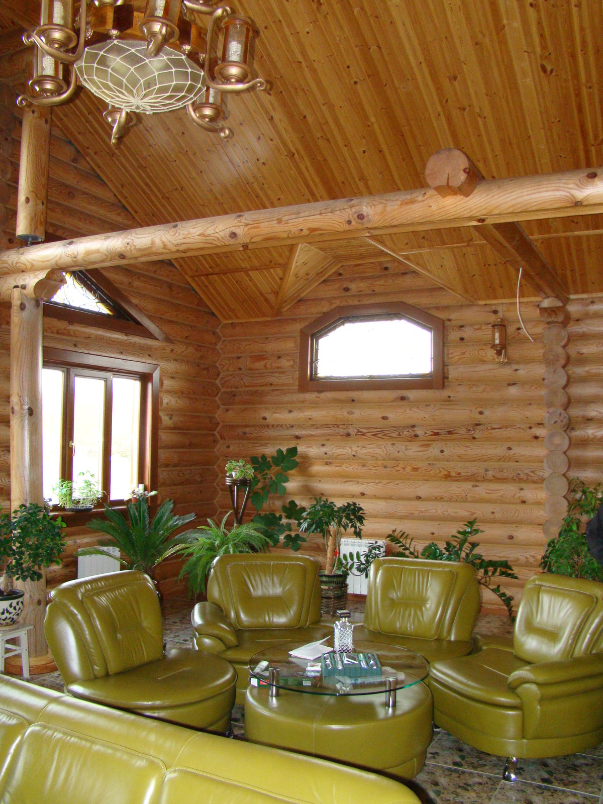 Анастасия Лукачер