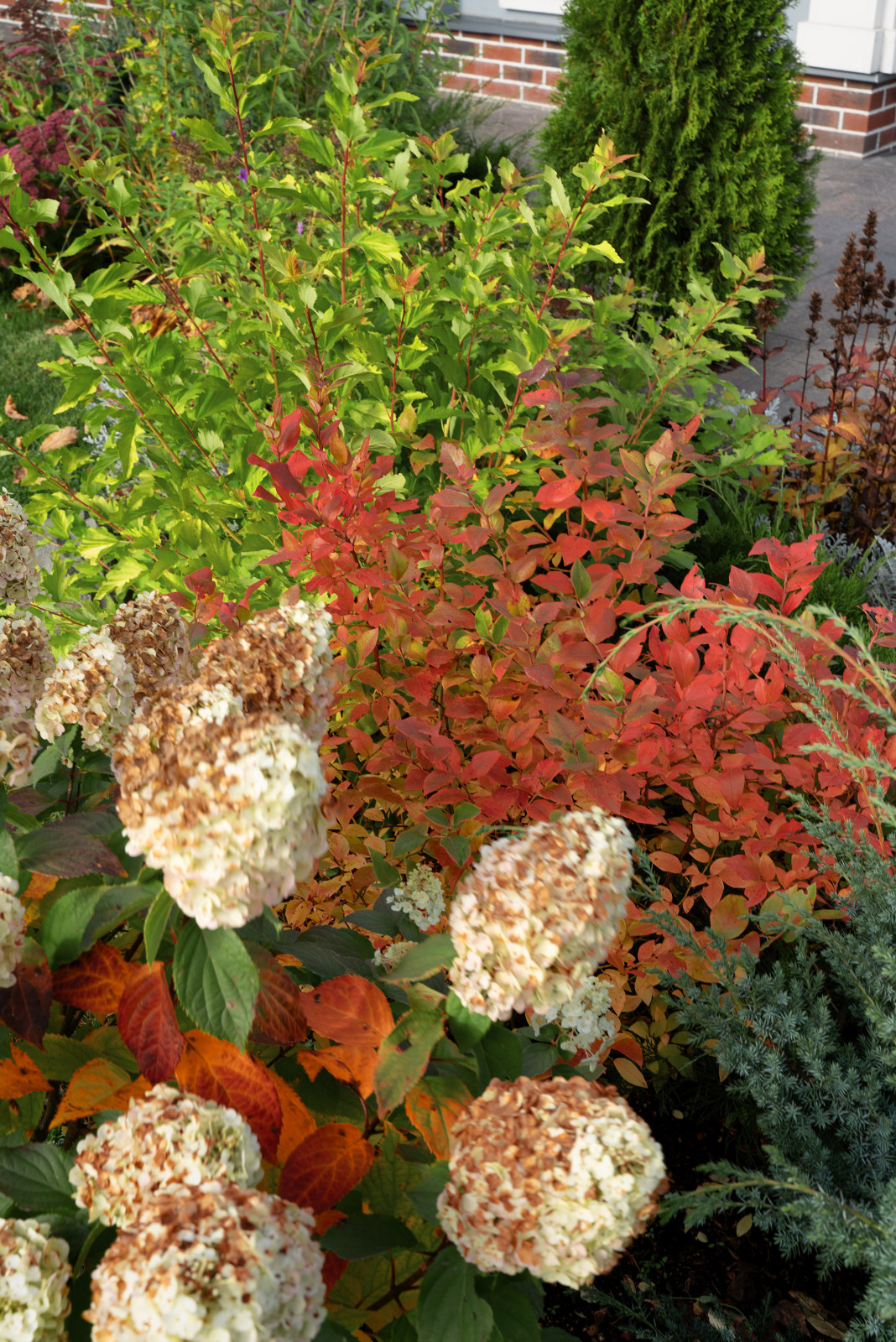 Дом в Оболдино