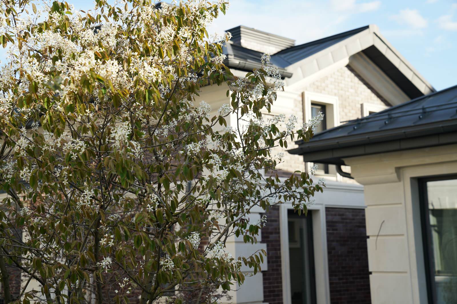 Ренессанс Парк 2022г