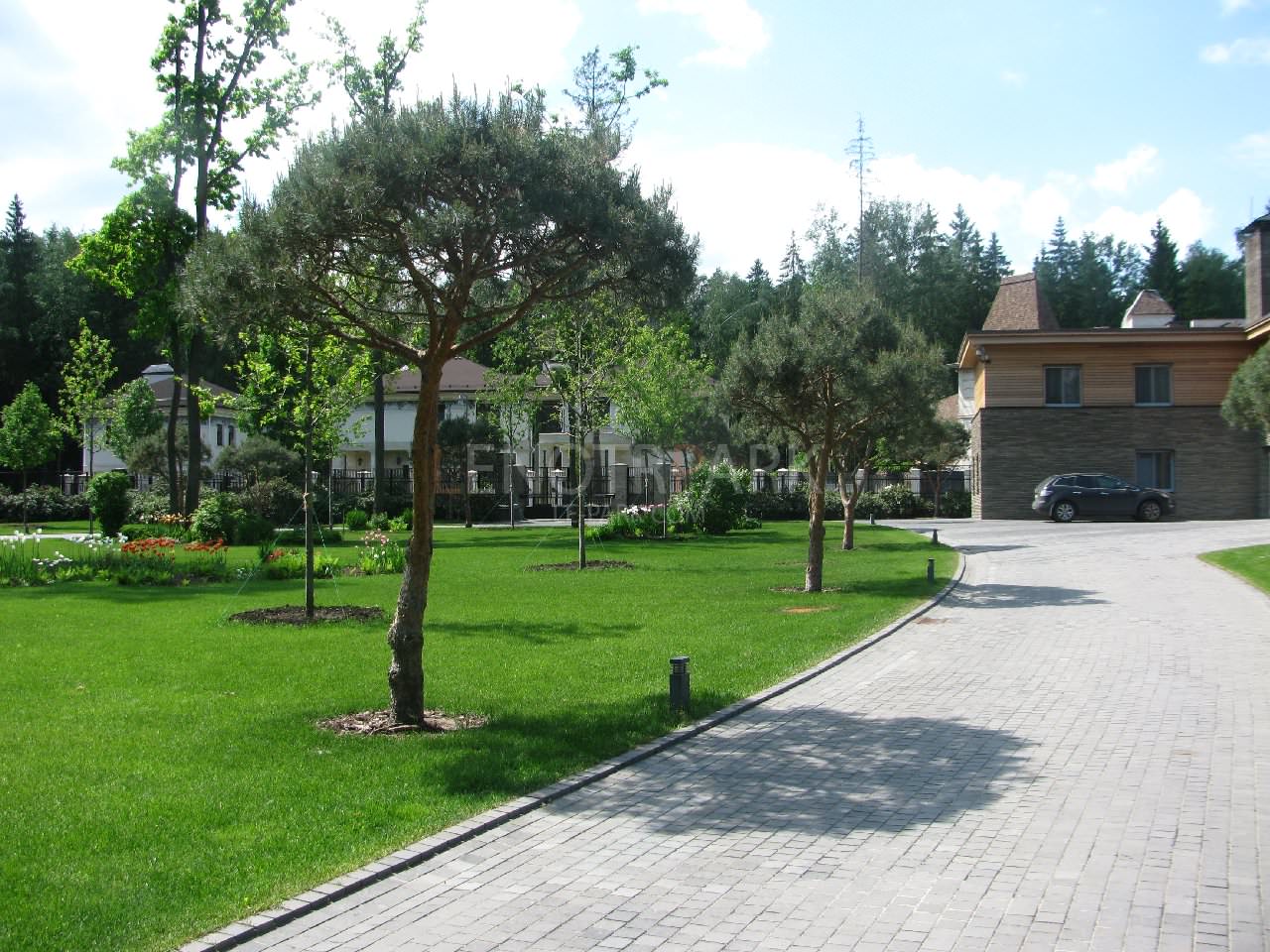 Обложка альбома: ландшафт