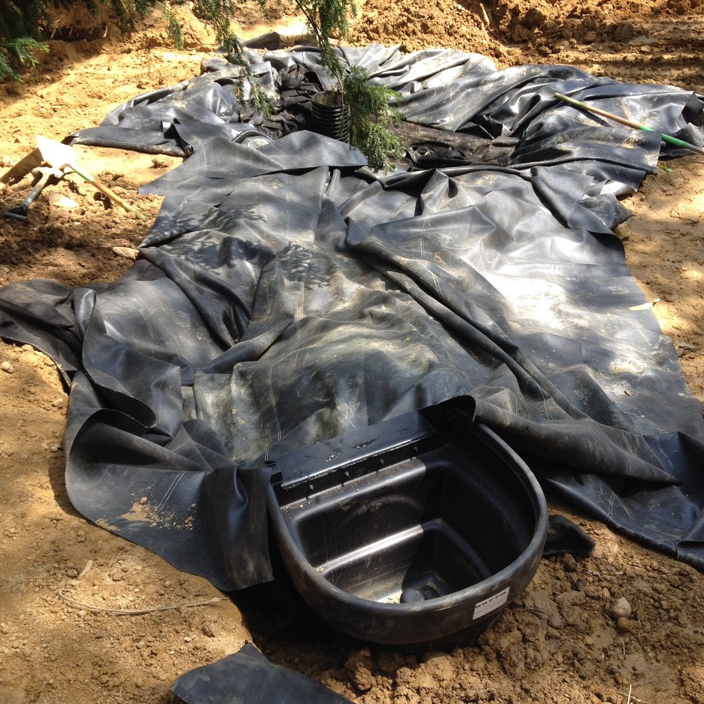 Весне дорогу: Садовый календарь на апрель