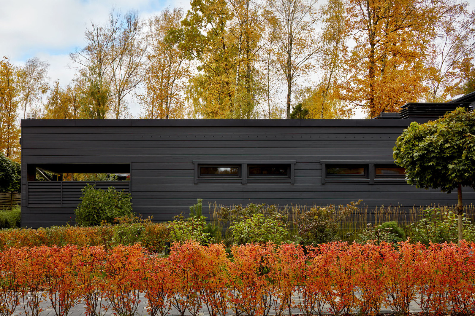 Иван Трофимов