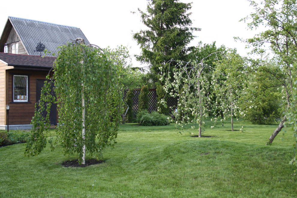 Обложка проекта: Тайцы