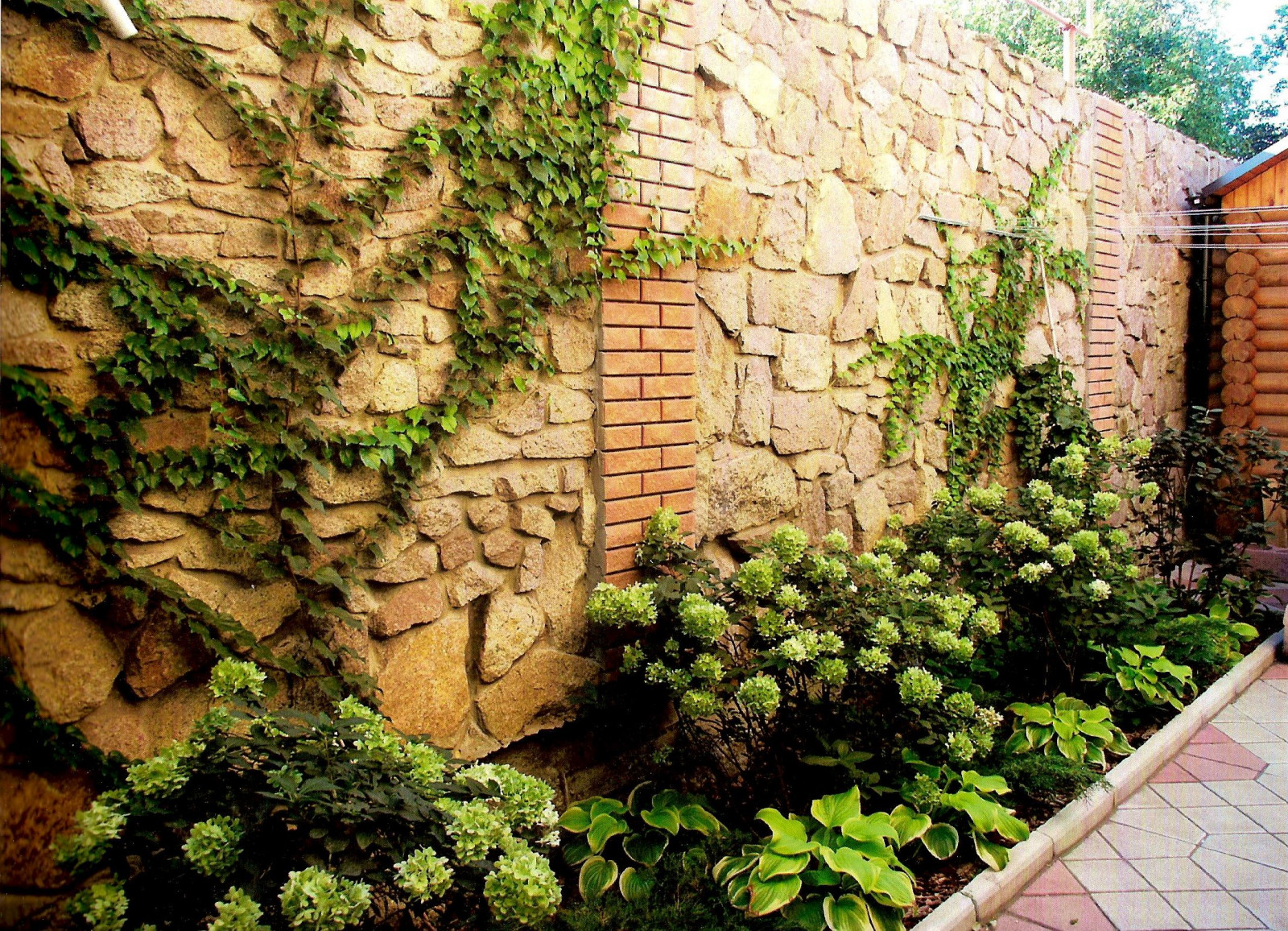 Обложка проекта: Частный сад 2011