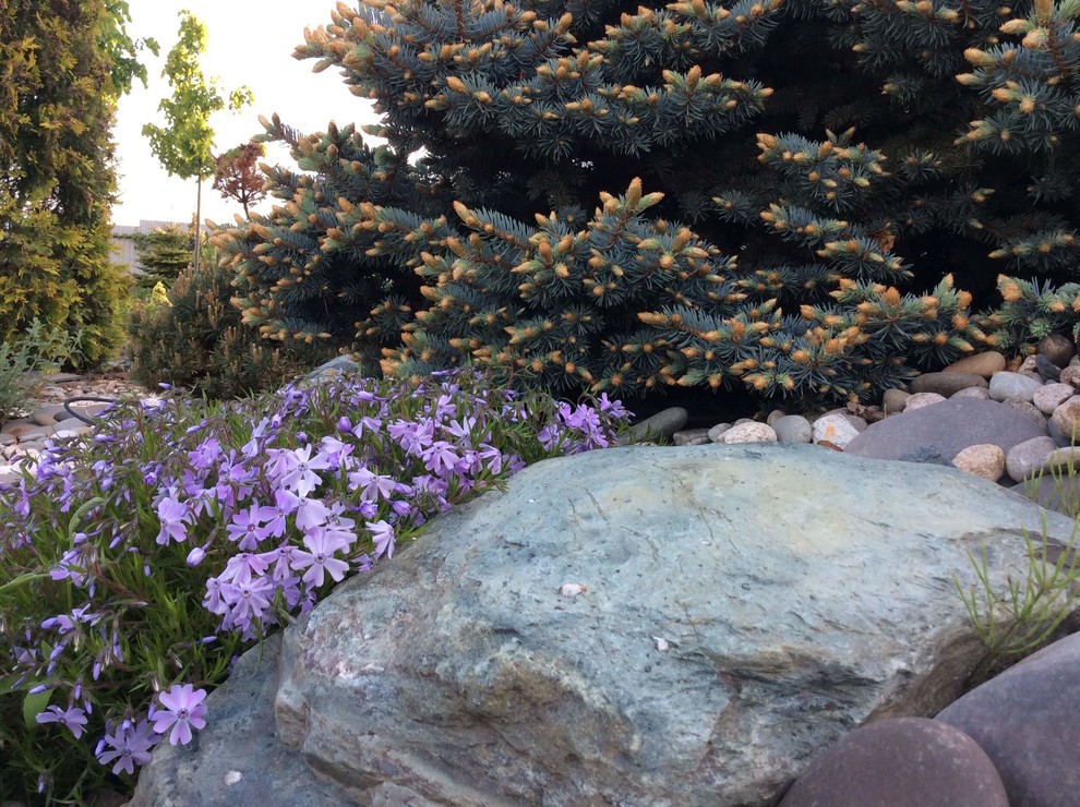 СНЫ О ЧЕМ_ТО БОЛЬШЕМ...