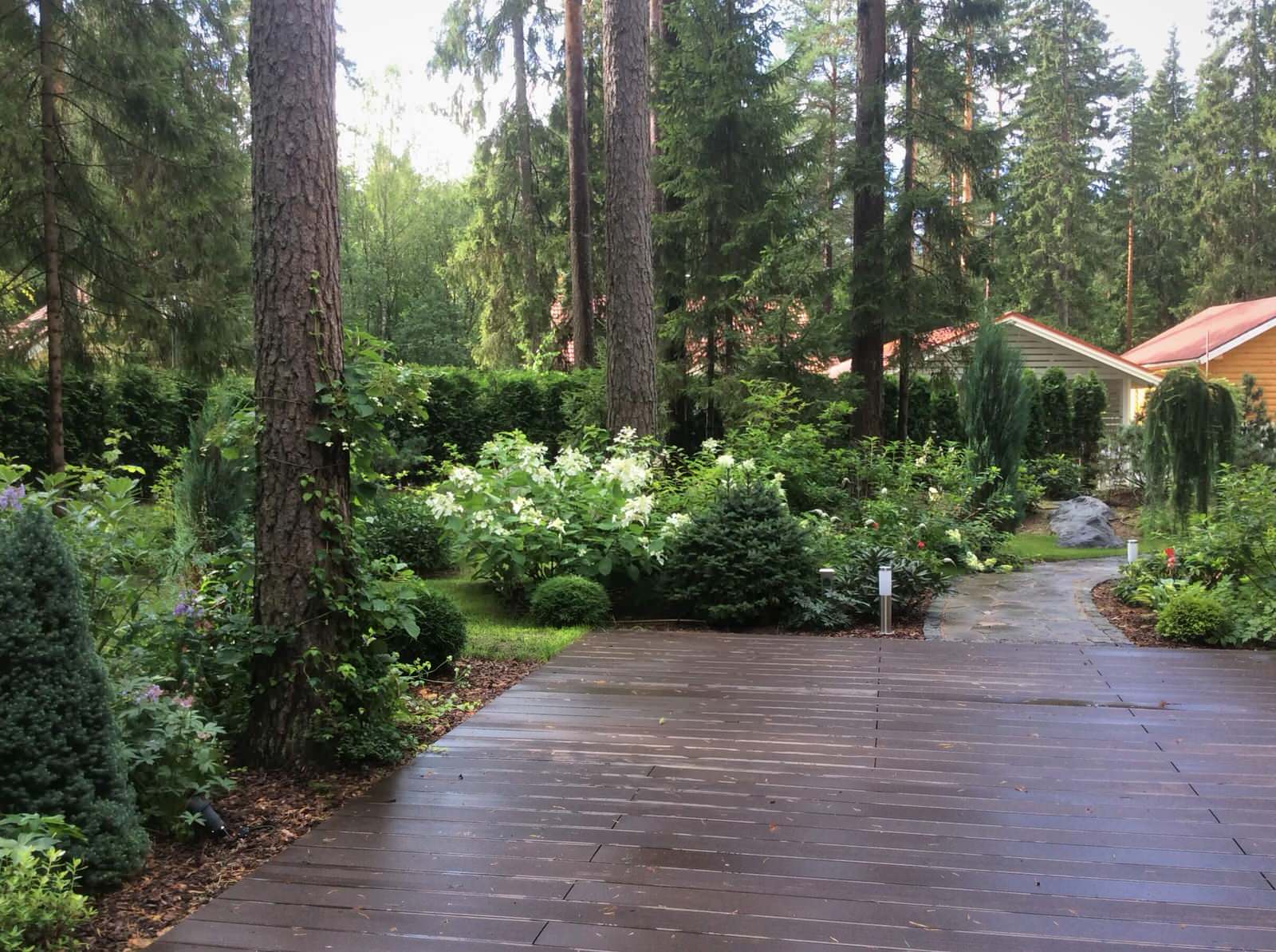 ШЕРВУДСКИЙ ЛЕС