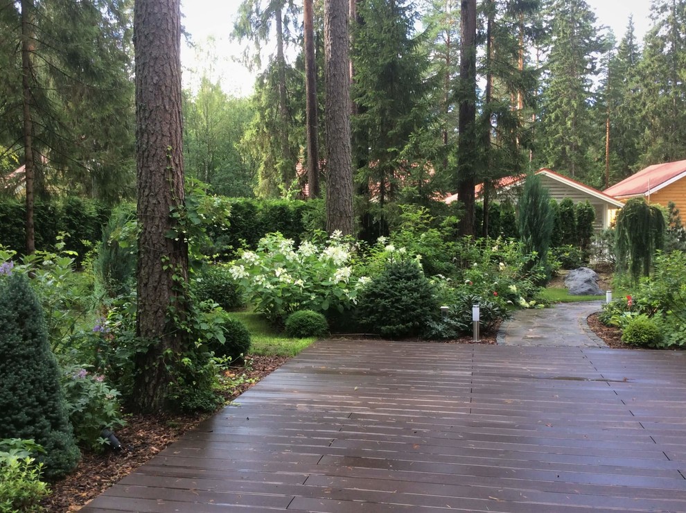 ШЕРВУДСКИЙ ЛЕС