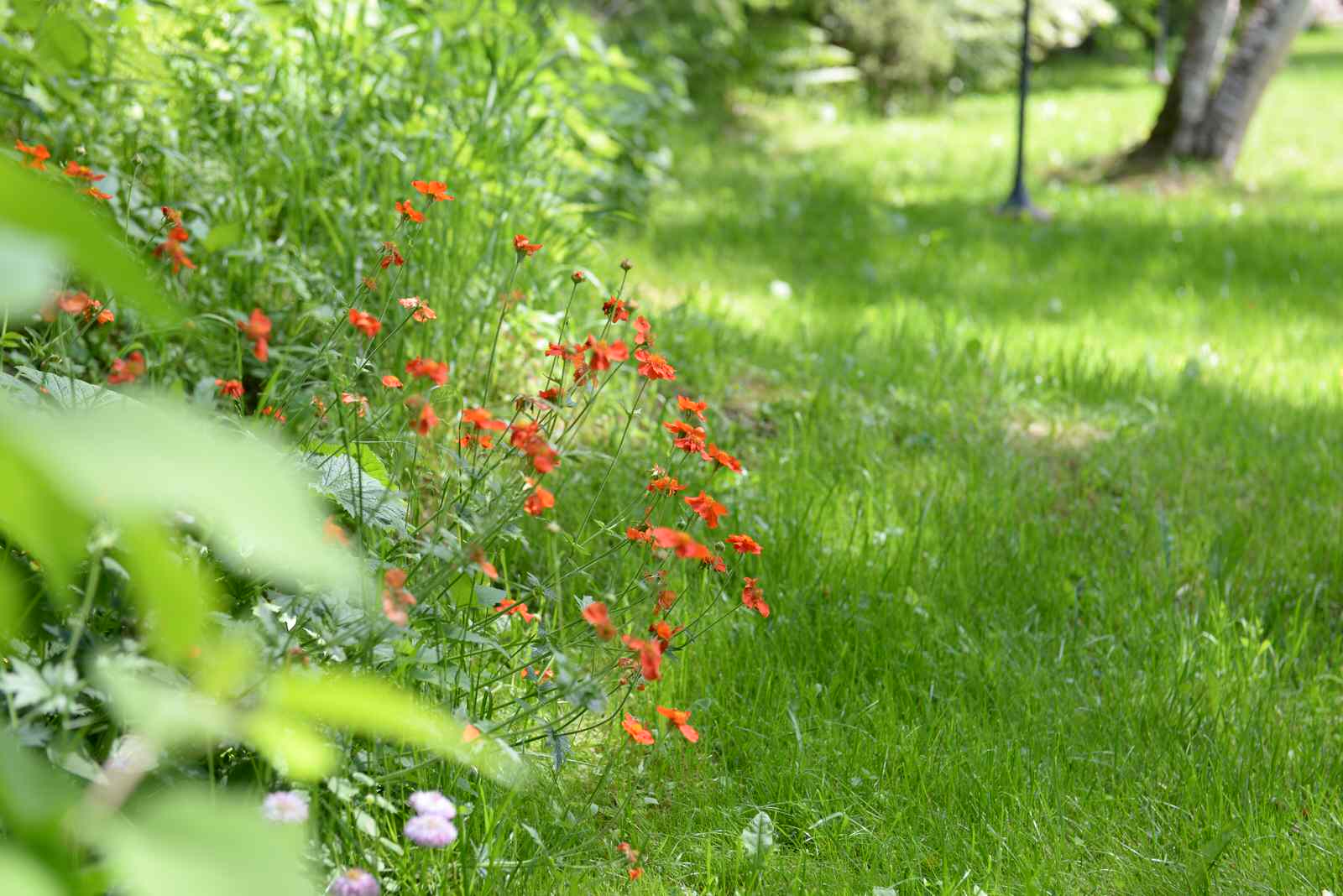 Озерный край