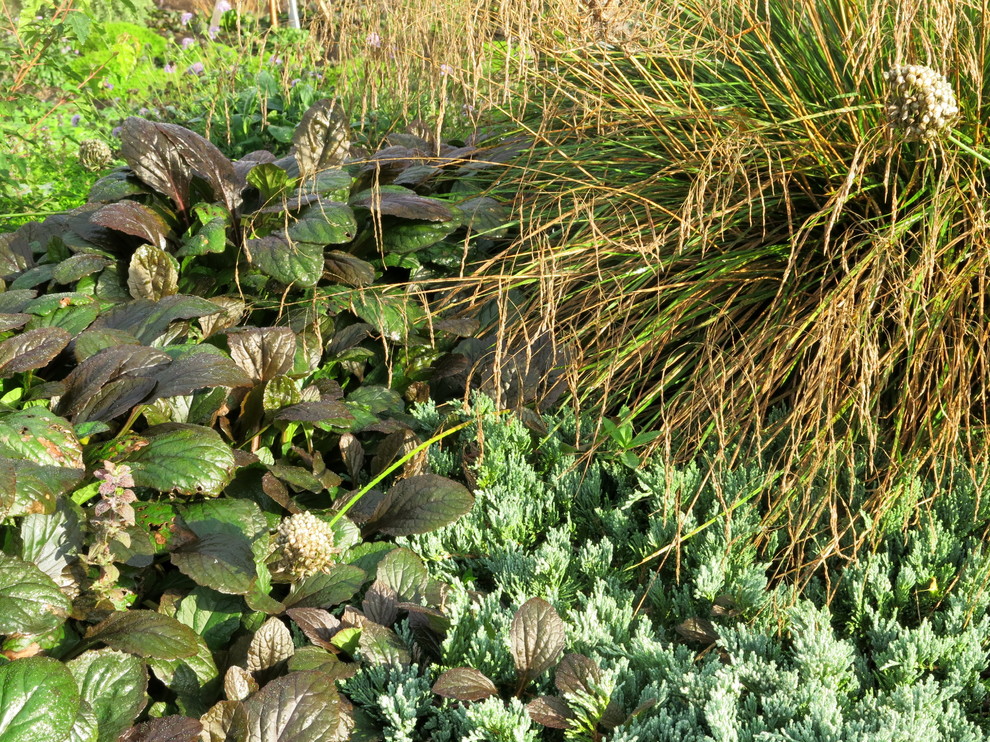ЯГОДНОЕ ЛУКОШКО (РАСТВОРИВШИСЬ В РАДУГЕ). СЕЗОН 2016. УТРО