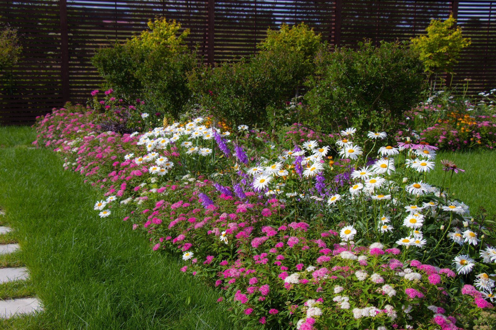 Сосновые берега