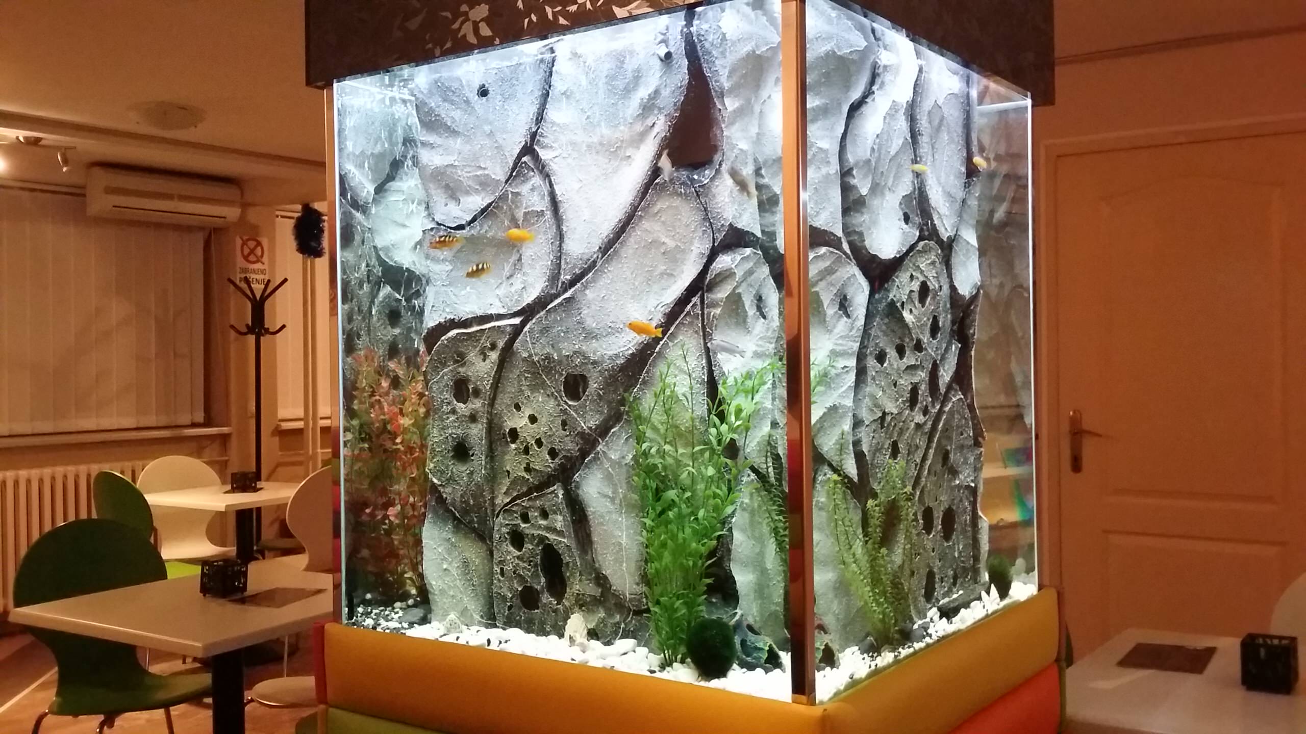 Хороший вопрос: Куда поставить аквариум