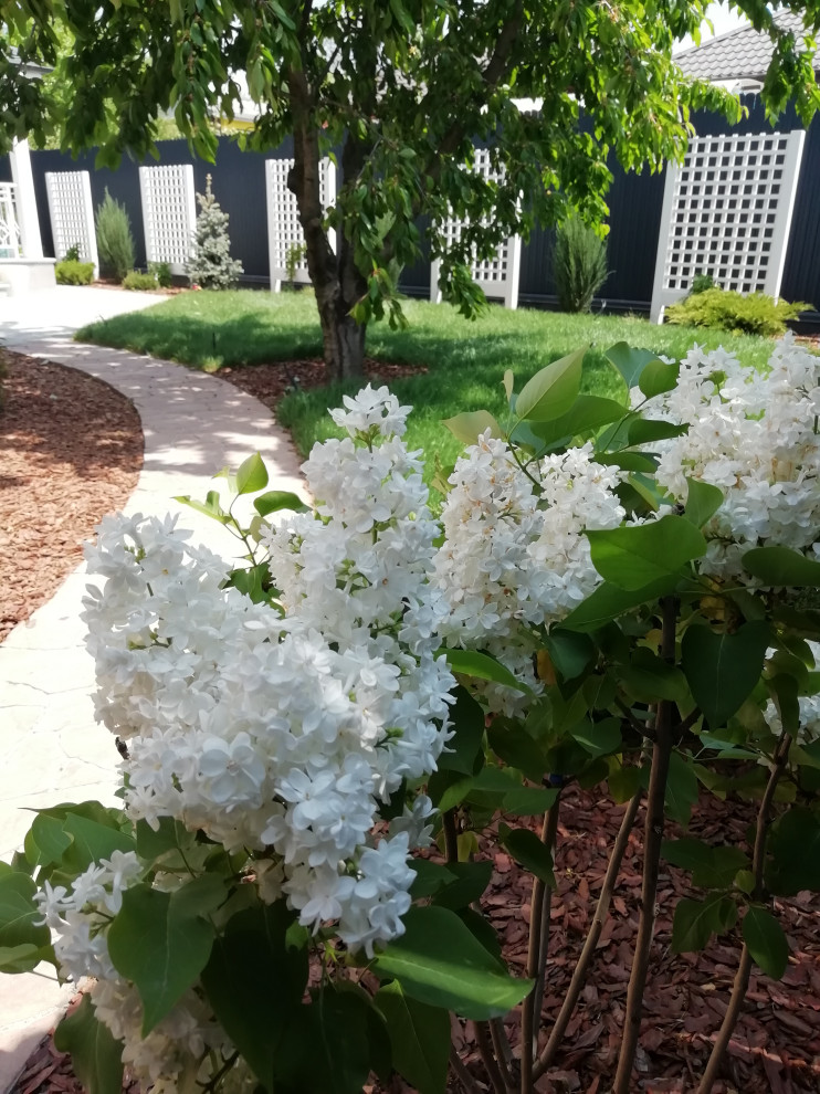 Частный сад "на Дружной"