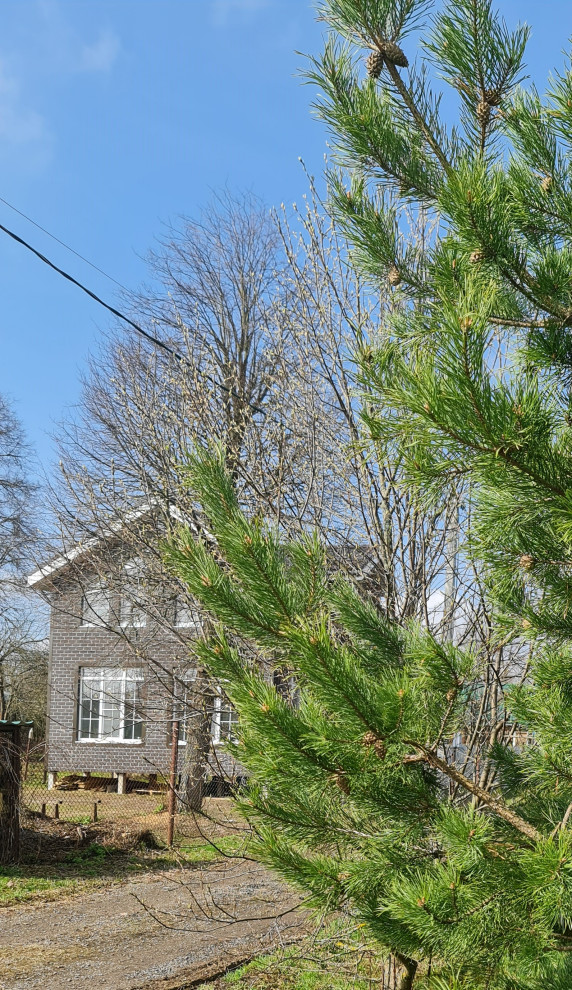 Марьяна Бурцева