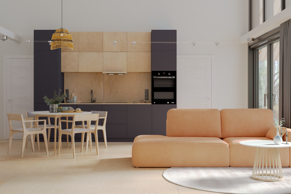 Визуализации проекта барнхаус