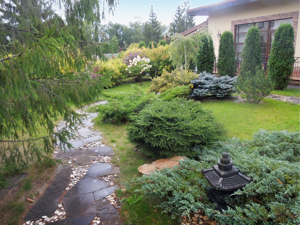 Обложка проекта: Восточный стиль