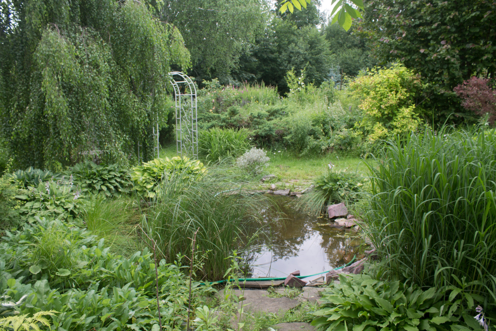 Сад  «Моя цветущая планета».